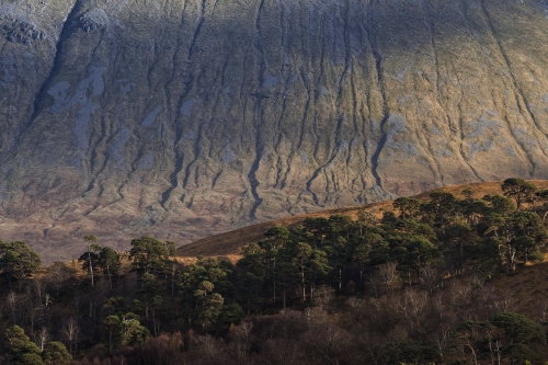 Frédéric-Demeuse-nature-photographer-highlands-scotland-9